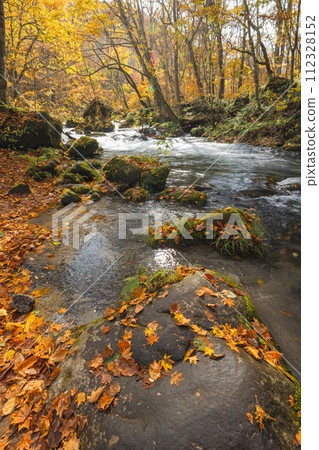 Japan, Towada City, Aomori Prefecture, Ishigado rapids and autumn leaves of Oirase Stream, which runs from Nenokuchi of Lake Towada to Yakeyama 112328152
