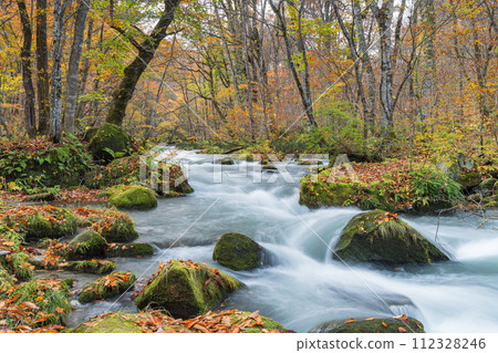 Japan, Towada City, Aomori Prefecture, Ishigado rapids and autumn leaves of Oirase Stream, which runs from Nenokuchi of Lake Towada to Yakeyama 112328246