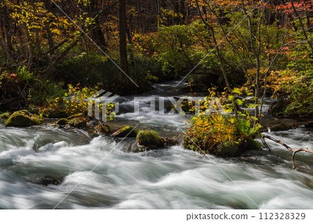 Japan, Towada City, Aomori Prefecture, the three-way flow and autumn leaves of Oirase Stream, which runs from Nenokuchi of Lake Towada to Yakeyama Japan, Towada City, Aomori Prefecture, the three-way flow and autumn leaves of Oirase Stream, which runs from Nenokuchi of Lake Towada to Yakeyama 112328329