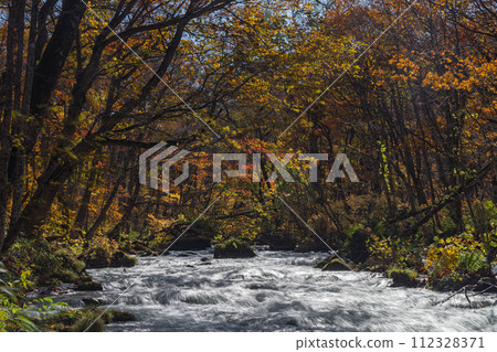Japan, Towada City, Aomori Prefecture, the three-way flow and autumn leaves of Oirase Stream, which runs from Nenokuchi of Lake Towada to Yakeyama Japan, Towada City, Aomori Prefecture, the three-way flow and autumn leaves of Oirase Stream, which runs from Nenokuchi of Lake Towada to Yakeyama 112328371