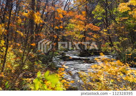 Japan, Towada City, Aomori Prefecture, the three-way flow and autumn leaves of Oirase Stream, which runs from Nenokuchi of Lake Towada to Yakeyama Japan, Towada City, Aomori Prefecture, the three-way flow and autumn leaves of Oirase Stream, which runs from Nenokuchi of Lake Towada to Yakeyama 112328395