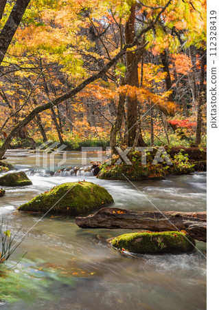 日本,青森縣十和田市,從十和田湖子口流向燒山的奧入瀨溪流的三道流和秋葉 日本,青森縣十和田市,從十和田湖子口流向燒山的奧入瀨溪流的三道流和秋葉 112328419