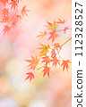 Autumn leaves with a soft and gentle atmosphere (vertical) 112328527