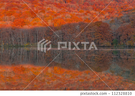 日本青森縣十和田市奧瀨蔦之湯的蔦沼水鏡映照著日出,秋葉變紅 日本青森縣十和田市奧瀨蔦之湯的蔦沼水鏡映照著日出,秋葉變紅 112328810