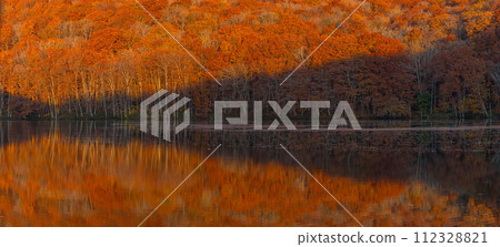 Autumn leaves turn red with the sunrise reflected in the water mirror of Tsutanuma in Okuse Tsutanoyu, Towada City, Aomori Prefecture, Japan 112328821