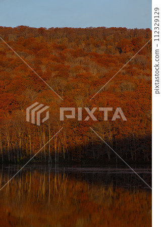 Autumn leaves turn red with the sunrise reflected in the water mirror of Tsutanuma in Okuse Tsutanoyu, Towada City, Aomori Prefecture, Japan Autumn leaves turn red with the sunrise reflected in the water mirror of Tsutanuma in Okuse Tsutanoyu, Towada City, Aomori Prefecture, Japan 112329129