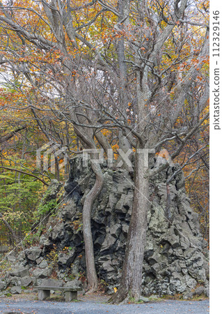 Japan: Lava shaped into pillars and autumn leaves on the shores of Lake Towada, Okuse Towada Lake Yasuya, Towada City, Aomori Prefecture Japan: Lava shaped into pillars and autumn leaves on the shores of Lake Towada, Okuse Towada Lake Yasuya, Towada City, Aomori Prefecture 112329146