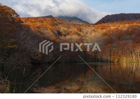 Autumn leaves reflected in the water mirror of Tsutanuma in the early morning at Okuse Tsutanoyu, Towada City, Aomori Prefecture, Japan 112329180
