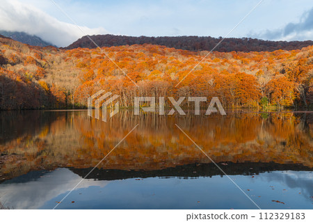 Autumn leaves reflected in the water mirror of Tsutanuma in the early morning at Okuse Tsutanoyu, Towada City, Aomori Prefecture, Japan 112329183