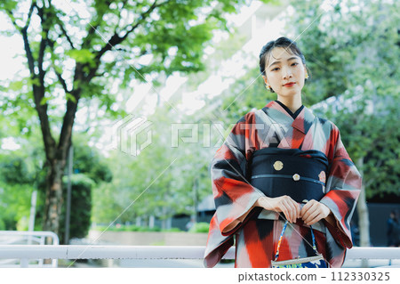 A woman in a kimono Meisen with a geometric pattern A woman in a kimono Meisen with a geometric pattern 112330325