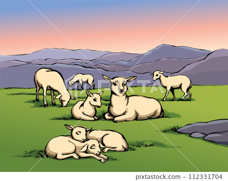 Vector drawing. Small sheeps lay at the field 112331704