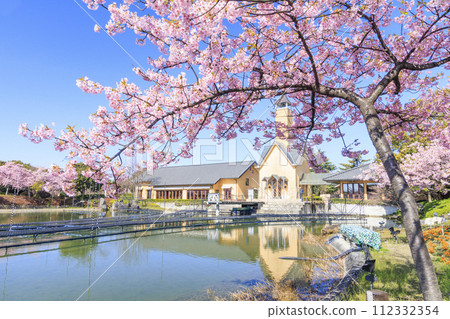 名花之裡：河津櫻花與鬱金香盛開 112332354