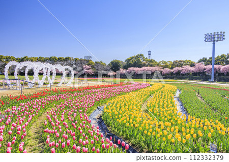 名花之裡:河津櫻花與鬱金香盛開 名花之裡:河津櫻花與鬱金香盛開 112332379