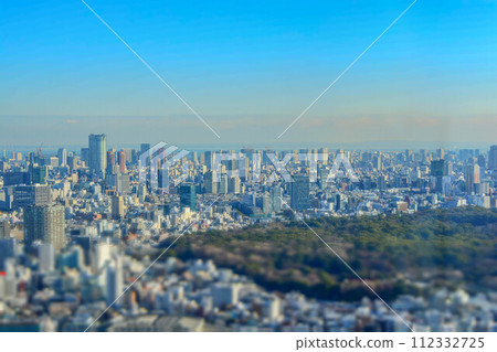 從關東平原展望台眺望東京 112332725