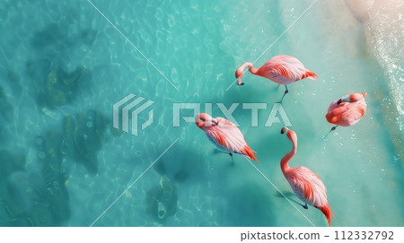 Flamingos at sea, aerial view. Flamingos at sea, aerial view. 112332792