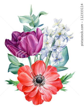 Spring flowers. Anemones, tulip, hyacinth on isolated white background. Watercolor Flower set, botanical illustration. 112333114