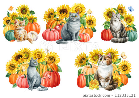 Watercolor cute sats and yellow flowers, sunflower pumpkin and butterflies set isolated white background, Autumn animal 112333121