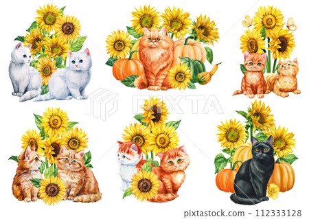 Watercolor cat and sunflowers set on a white background, Autumn postcard with baby animal, flowers. Cute ginger kittens Watercolor cat and sunflowers set on a white background, Autumn postcard with baby animal, flowers. Cute ginger kittens 112333128