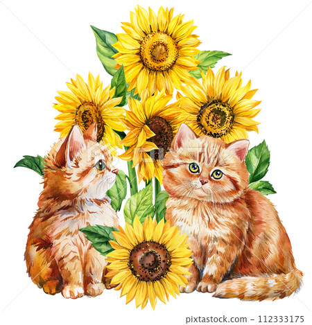 Watercolor cat and sunflowers on a white background, Autumn postcard with baby animal, flowers. Cute ginger kittens  112333175