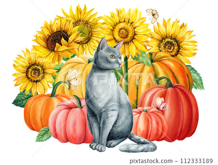 Watercolor cute gray cat and yellow flowers, sunflower pumpkin and butterflies isolated, Autumn postcard animal design Watercolor cute gray cat and yellow flowers, sunflower pumpkin and butterflies isolated, Autumn postcard animal design 112333189