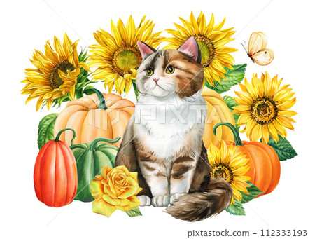 Watercolor cute cat and yellow flowers, sunflower orange pumpkin and butterflies isolated, Autumn postcard animal Watercolor cute cat and yellow flowers, sunflower orange pumpkin and butterflies isolated, Autumn postcard animal 112333193