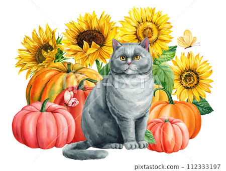 Watercolor cute gray cat and yellow flowers, sunflower pumpkin and butterflies isolated, Autumn postcard animal design Watercolor cute gray cat and yellow flowers, sunflower pumpkin and butterflies isolated, Autumn postcard animal design 112333197