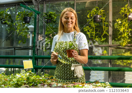 A girl with a houseplant in a greenhouse. 112333643