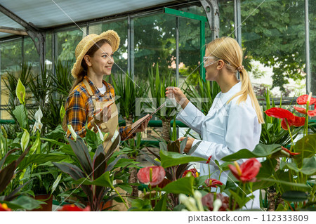 Laboratory studies by an expert biologist in a greenhouse. Laboratory studies by an expert biologist in a greenhouse. 112333809