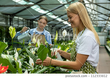 The employees of the greenhouse take care of the plants every day. 112333812