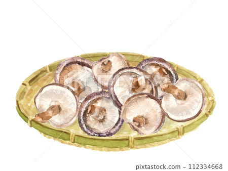 水彩畫漏勺中的香菇插圖[手繪]白色背景透明背景 112334668