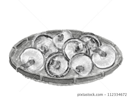 水彩畫濾鍋中香菇的單調插圖[手繪]白色背景透明背景 112334672