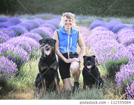 obedience training in a club 112335084