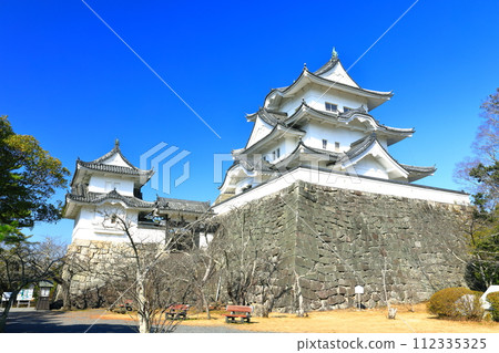 [三重縣]晴天的伊賀上野城 112335325