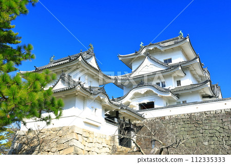 [Mie Prefecture] Iga Ueno Castle in sunny weather 112335333