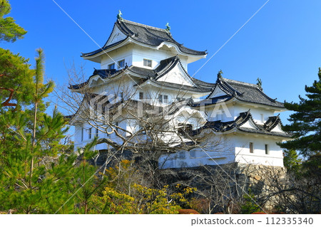 [三重縣]晴天的伊賀上野城 112335340