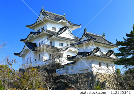 [三重縣]晴天的伊賀上野城 112335341