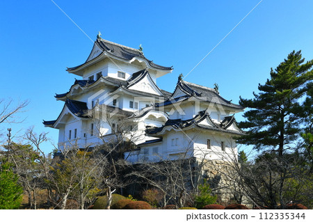 [三重縣]晴天的伊賀上野城 112335344