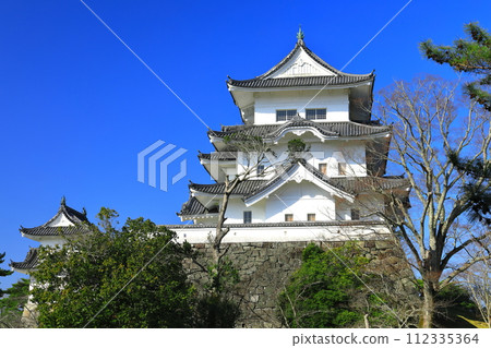 [三重縣]晴天的伊賀上野城 112335364