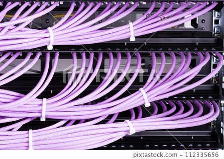 bunch of patch network cables sorted in rack cabinet, leading from patch panel in the server rack in the data center room 112335656
