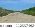 unpaved dirt road in saemangeum reclaim land, Gunsan-si, South Korea.  112337462