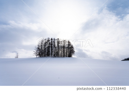 Scenery of the hills of Biei, Hokkaido 112338440