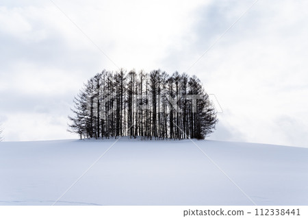 Scenery of the hills of Biei, Hokkaido 112338441