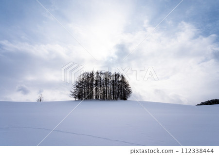 北海道美瑛的山丘風景 112338444