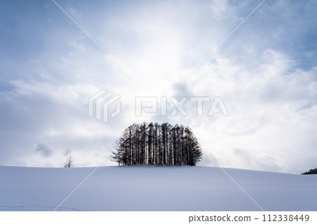 北海道美瑛的山丘風景 北海道美瑛的山丘風景 112338449