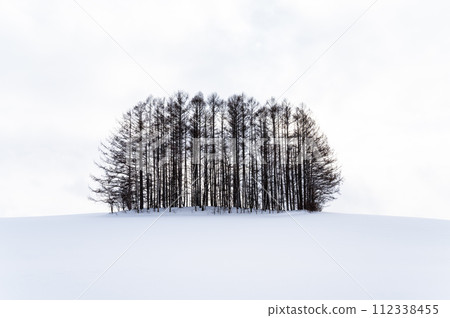 Scenery of the hills of Biei, Hokkaido 112338455