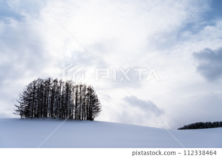 北海道美瑛的山丘風景 北海道美瑛的山丘風景 112338464