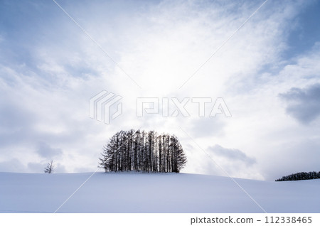 Scenery of the hills of Biei, Hokkaido 112338465