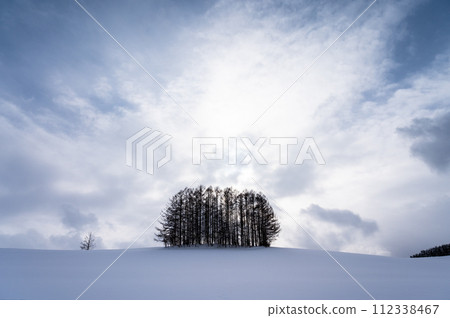 Scenery of the hills of Biei, Hokkaido Scenery of the hills of Biei, Hokkaido 112338467