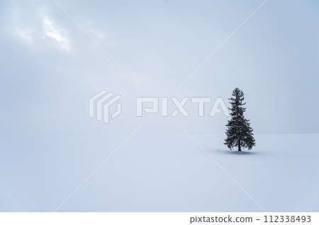 北海道美瑛的山丘風景 112338493