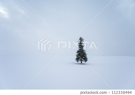 北海道美瑛的山丘風景 112338494